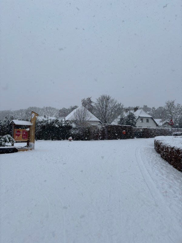 Drunense Duinen Trail & Walk